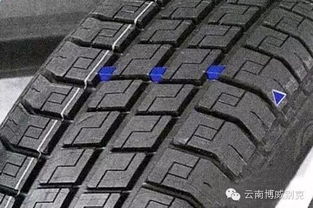 中致遠博威